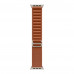 Apple Watch Ultra 3 (49 мм) (2025) (Natural) Alpine Loop Terra Cotta Apple Watch Ultra 3 (49 мм) (2025) (Natural) Alpine Loop Terra Cotta